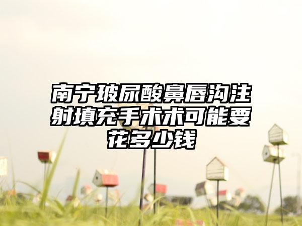 南宁玻尿酸鼻唇沟注射填充手术术可能要花多少钱