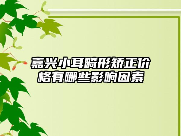 嘉兴小耳畸形矫正价格有哪些影响因素