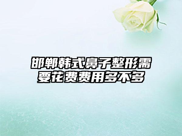 邯郸韩式鼻子整形需要花费费用多不多