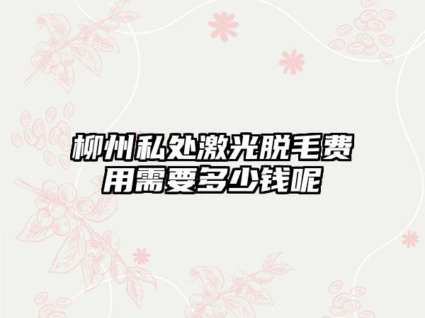 柳州私处激光脱毛费用需要多少钱呢