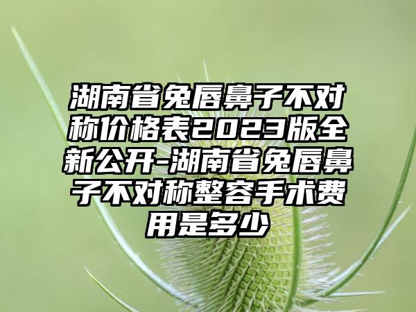 湖南省兔唇鼻子不对称价格表2023版全新公开-湖南省兔唇鼻子不对称整容手术费用是多少