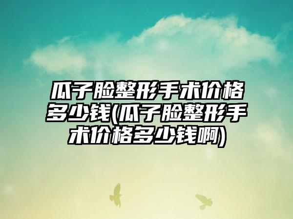 瓜子脸整形手术价格多少钱(瓜子脸整形手术价格多少钱啊)