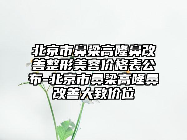 北京市鼻梁高隆鼻改善整形美容价格表公布-北京市鼻梁高隆鼻改善大致价位