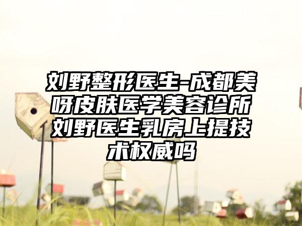 刘野整形医生-成都美呀皮肤医学美容诊所刘野医生乳房上提技术权威吗