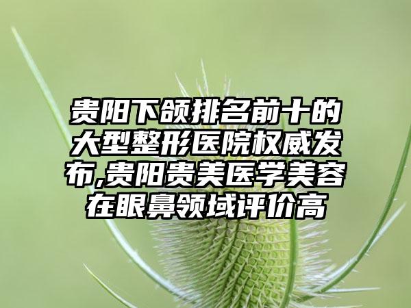 贵阳下颌排名前十的大型整形医院权威发布,贵阳贵美医学美容在眼鼻领域评价高