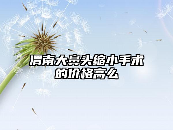 渭南大鼻头缩小手术的价格高么