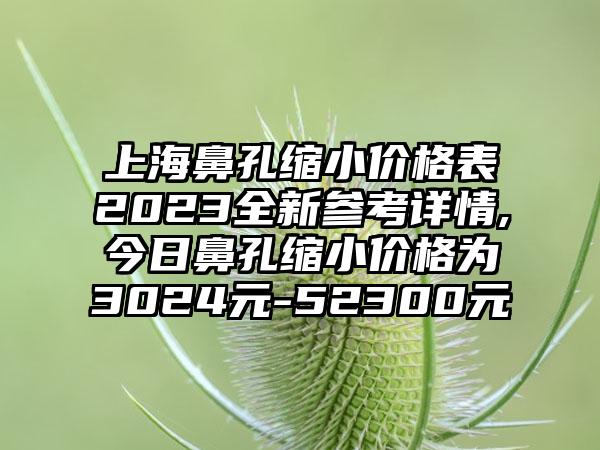 上海鼻孔缩小价格表2023全新参考详情,今日鼻孔缩小价格为3024元-52300元