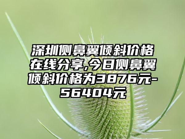 深圳侧鼻翼倾斜价格在线分享,今日侧鼻翼倾斜价格为3876元-56404元