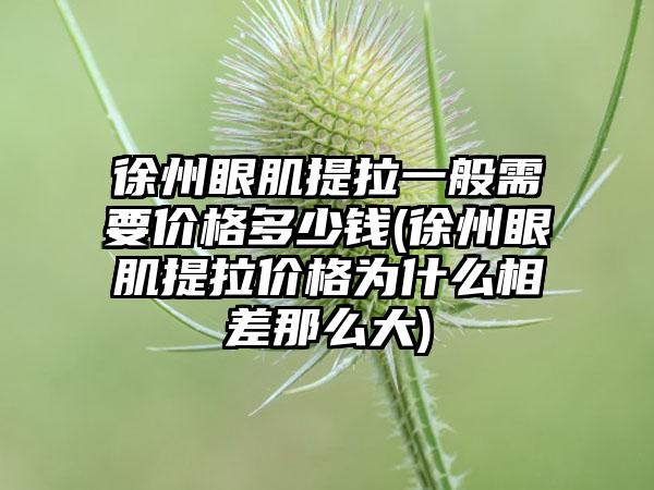 徐州眼肌提拉一般需要价格多少钱(徐州眼肌提拉价格为什么相差那么大)