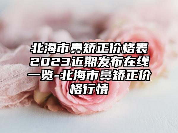 北海市鼻矫正价格表2023近期发布在线一览-北海市鼻矫正价格行情