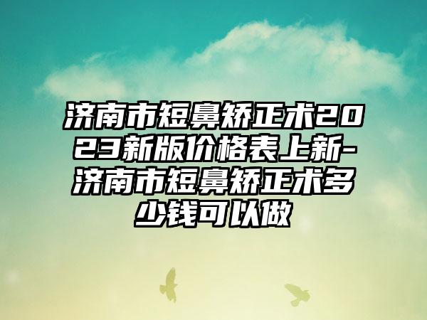 济南市短鼻矫正术2023新版价格表上新-济南市短鼻矫正术多少钱可以做