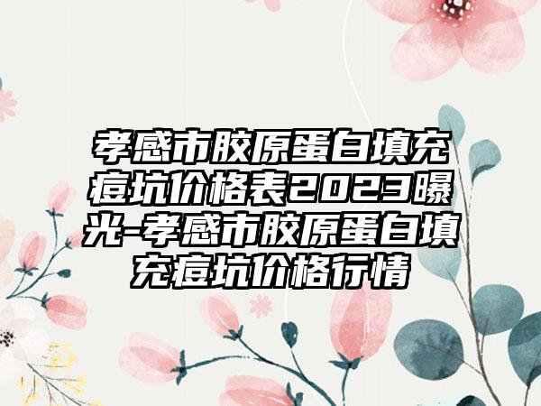 孝感市胶原蛋白填充痘坑价格表2023曝光-孝感市胶原蛋白填充痘坑价格行情