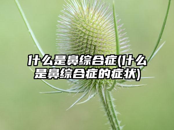 什么是鼻综合症(什么是鼻综合症的症状)