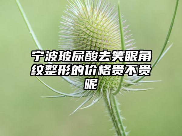 宁波玻尿酸去笑眼角纹整形的价格贵不贵呢