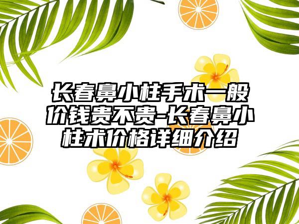 长春鼻小柱手术一般价钱贵不贵-长春鼻小柱术价格详细介绍