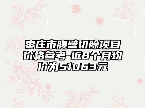 枣庄市腹壁切除项目价格参考-近8个月均价为51063元