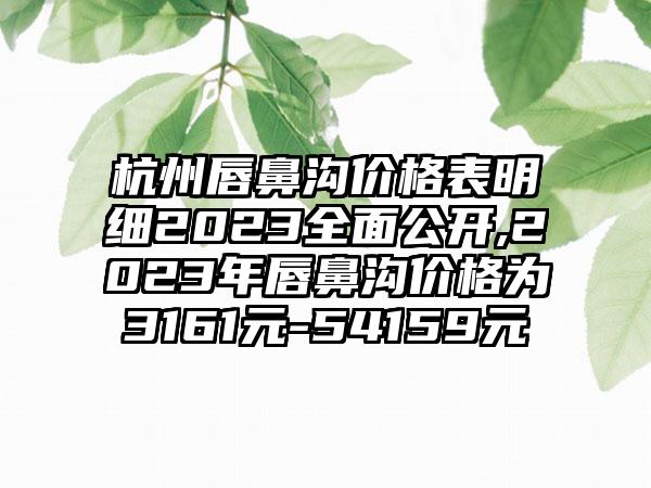 杭州唇鼻沟价格表明细2023多面公开,2023年唇鼻沟价格为3161元-54159元