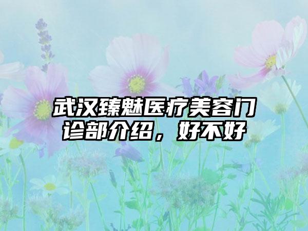 武汉臻魅医疗美容门诊部介绍，好不好