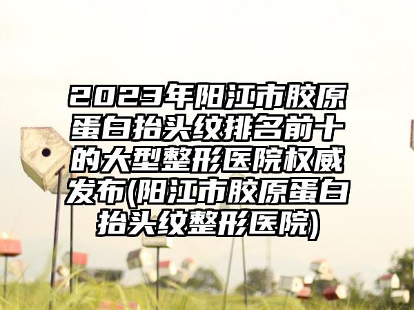 2023年阳江市胶原蛋白抬头纹排名前十的大型整形医院权威发布(阳江市胶原蛋白抬头纹整形医院)