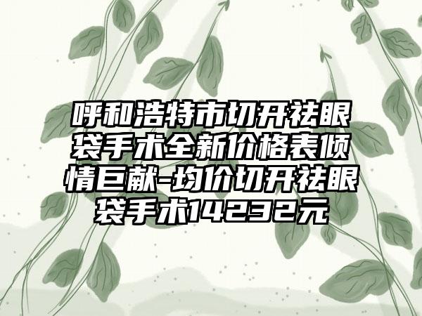 呼和浩特市切开祛眼袋手术全新价格表倾情巨献-均价切开祛眼袋手术14232元