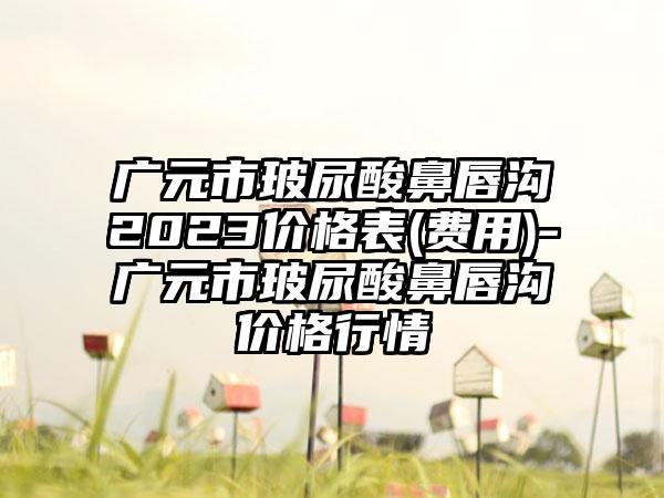 广元市玻尿酸鼻唇沟2023价格表(费用)-广元市玻尿酸鼻唇沟价格行情