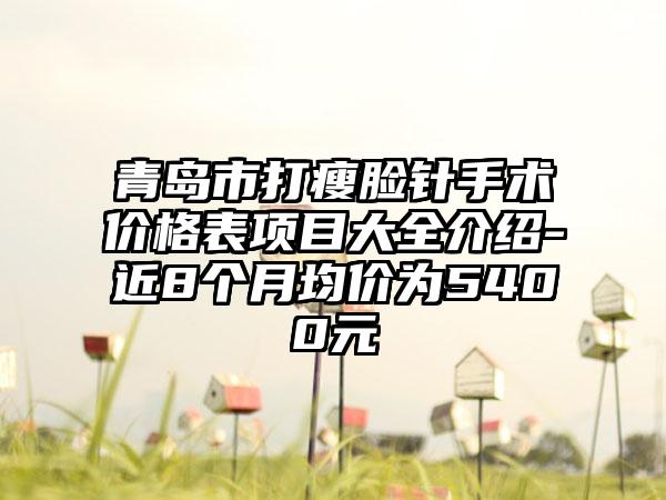 青岛市打瘦脸针手术价格表项目大全介绍-近8个月均价为5400元