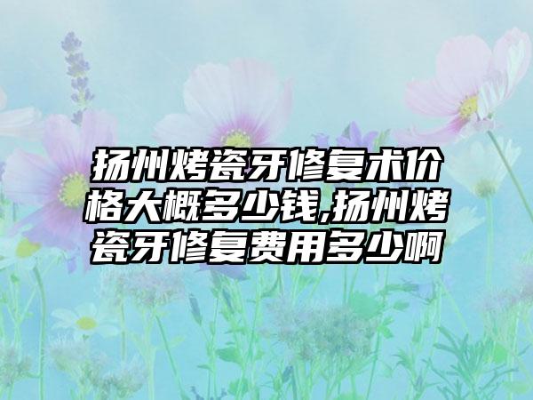 扬州烤瓷牙修复术价格大概多少钱,扬州烤瓷牙修复费用多少啊