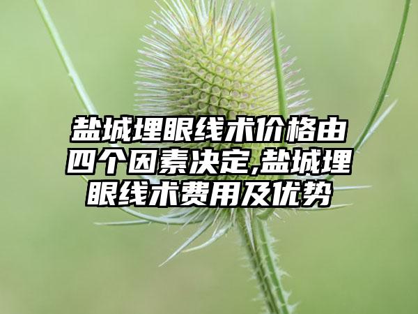 盐城埋眼线术价格由四个因素决定,盐城埋眼线术费用及优势