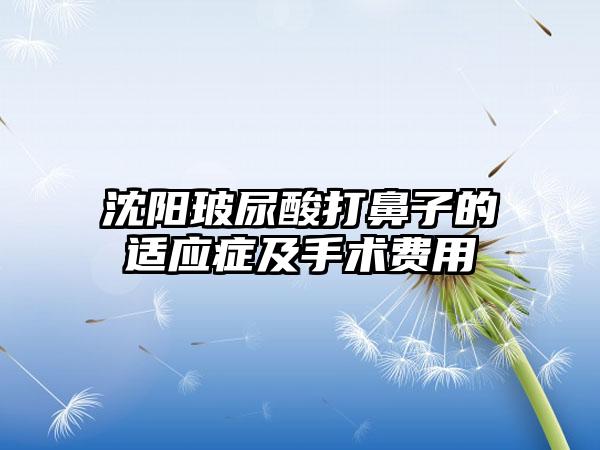 沈阳玻尿酸打鼻子的适应症及手术费用