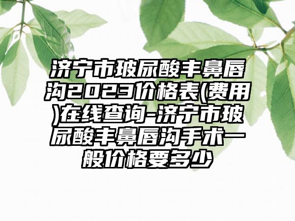 济宁市玻尿酸丰鼻唇沟2023价格表(费用)在线查询-济宁市玻尿酸丰鼻唇沟手术一般价格要多少