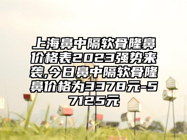 上海鼻中隔软骨隆鼻价格表2023强势来袭,今日鼻中隔软骨隆鼻价格为3378元-57125元