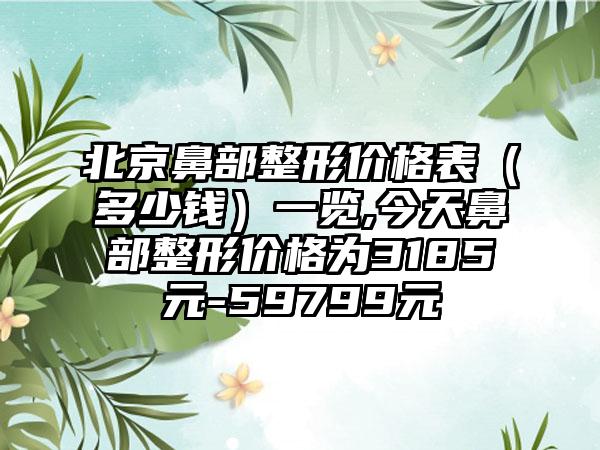 北京鼻部整形价格表（多少钱）一览,今天鼻部整形价格为3185元-59799元