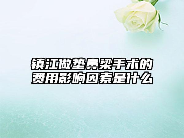 镇江做垫鼻梁手术的费用影响因素是什么