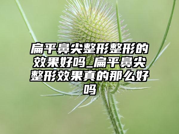 扁平鼻尖整形整形的成果好吗_扁平鼻尖整形成果真的那么好吗