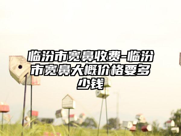 临汾市宽鼻收费-临汾市宽鼻大概价格要多少钱