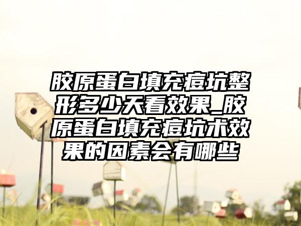 胶原蛋白填充痘坑整形多少天看成果_胶原蛋白填充痘坑术成果的因素会有哪些