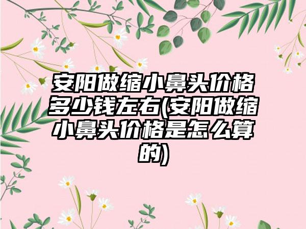 安阳做缩小鼻头价格多少钱左右(安阳做缩小鼻头价格是怎么算的)