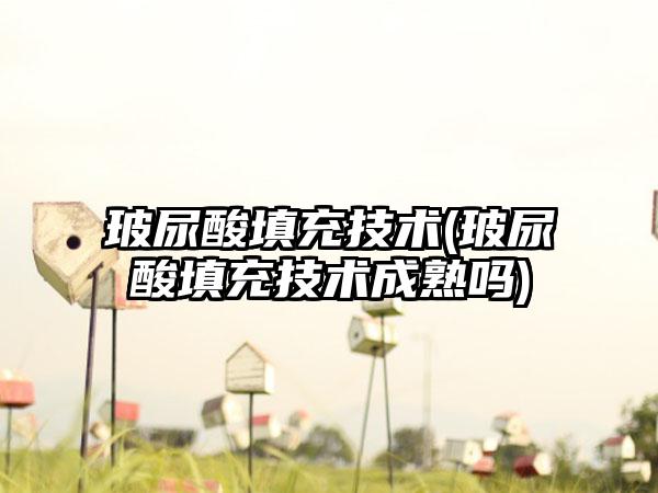 玻尿酸填充技术(玻尿酸填充技术成熟吗)