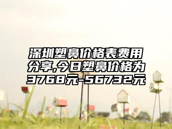 深圳塑鼻价格表费用分享,今日塑鼻价格为3768元-56732元