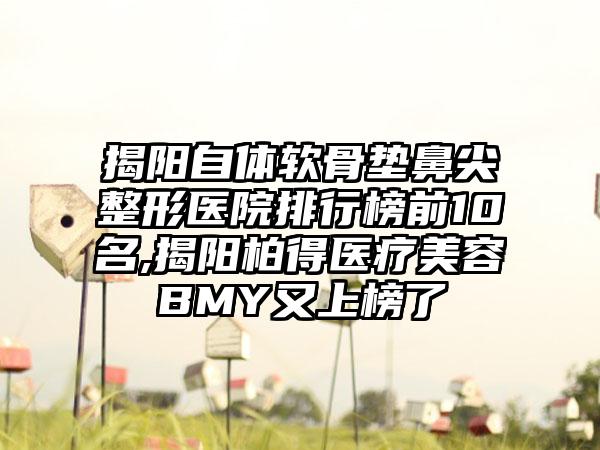 揭阳自体软骨垫鼻尖整形医院排行榜前10名,揭阳柏得医疗美容BMY又上榜了