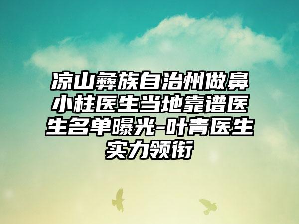 凉山彝族自治州做鼻小柱医生当地靠谱医生名单曝光-叶青医生实力领衔