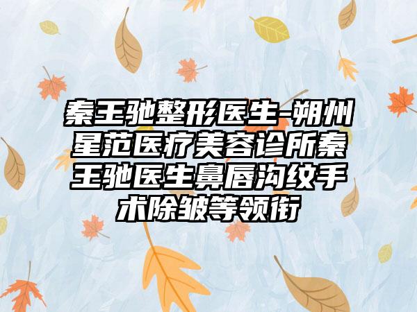 秦王驰整形医生-朔州星范医疗美容诊所秦王驰医生鼻唇沟纹手术除皱等领衔