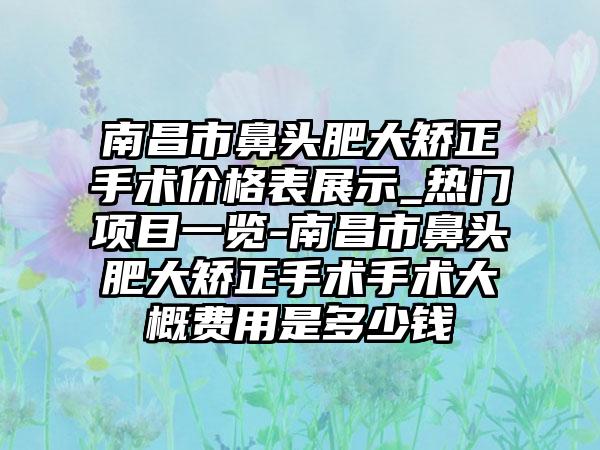 南昌市鼻头肥大矫正手术价格表展示_热门项目一览-南昌市鼻头肥大矫正手术手术大概费用是多少钱