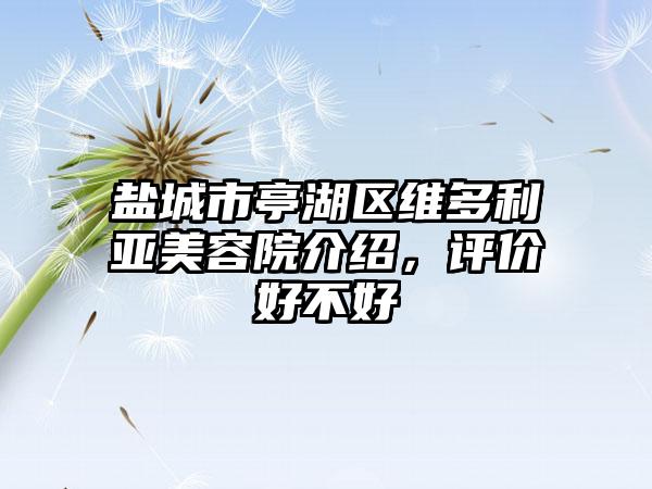 盐城市亭湖区维多利亚美容院介绍，评价好不好