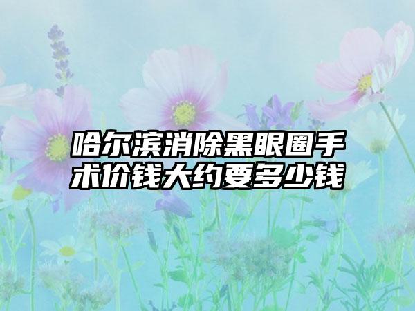 哈尔滨消除黑眼圈手术价钱大约要多少钱