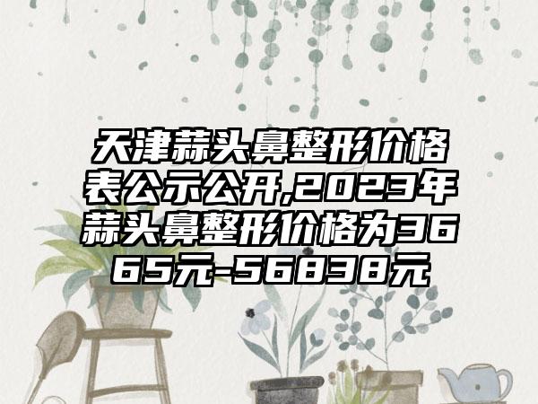 天津蒜头鼻整形价格表公示公开,2023年蒜头鼻整形价格为3665元-56838元