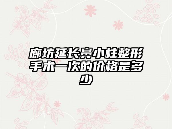 廊坊延长鼻小柱整形手术一次的价格是多少