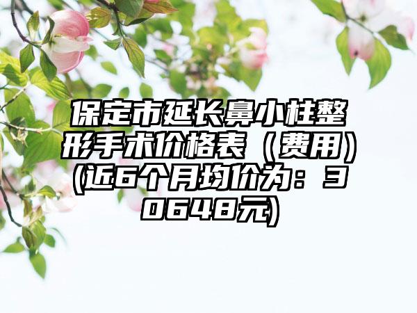 保定市延长鼻小柱整形手术价格表（费用）(近6个月均价为：30648元)