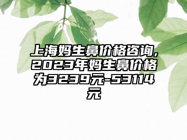 上海妈生鼻价格咨询,2023年妈生鼻价格为3239元-53114元