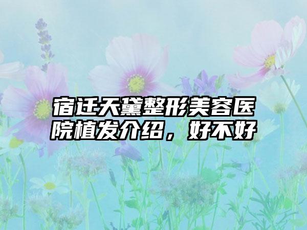 宿迁天黛整形美容医院植发介绍，好不好